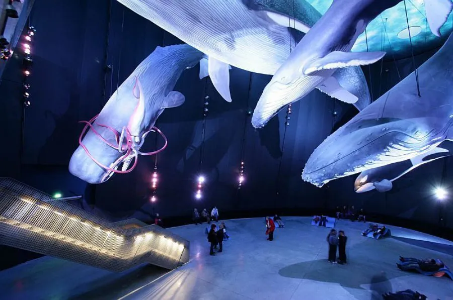 Ozeaneum Giganci Mórz 1:1