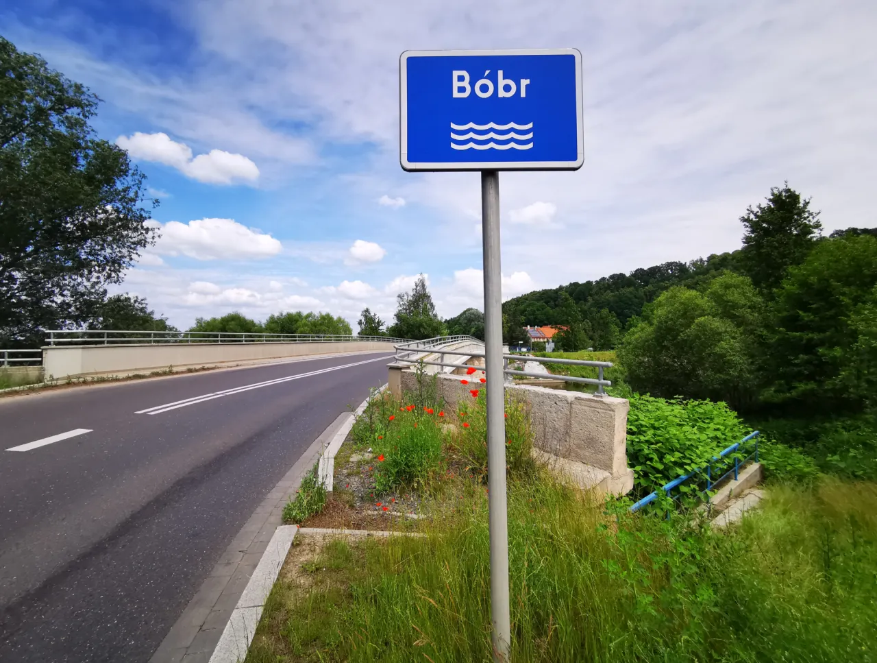 Trasy kajakowe B&oacute;br Szwajcaria Lw&oacute;wecka