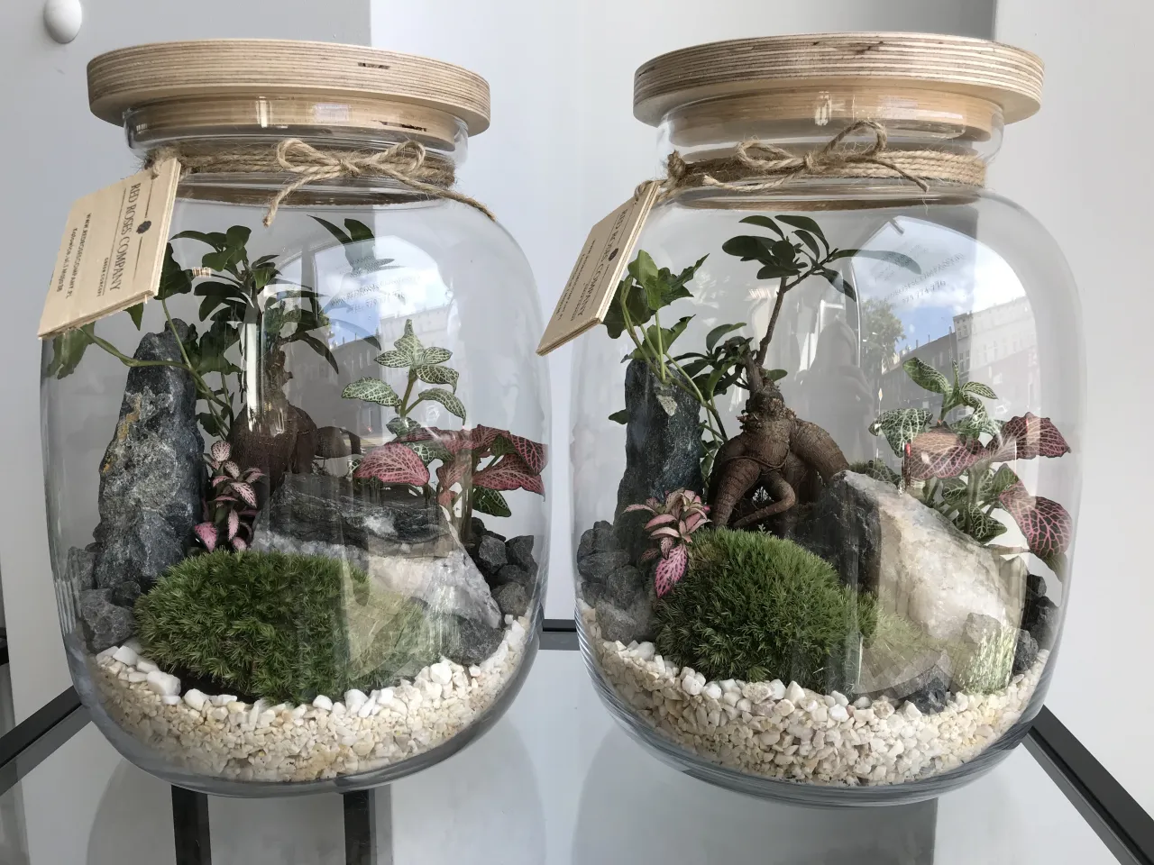 Las w słoiku jako prezent, r&oacute;żne kompozycje