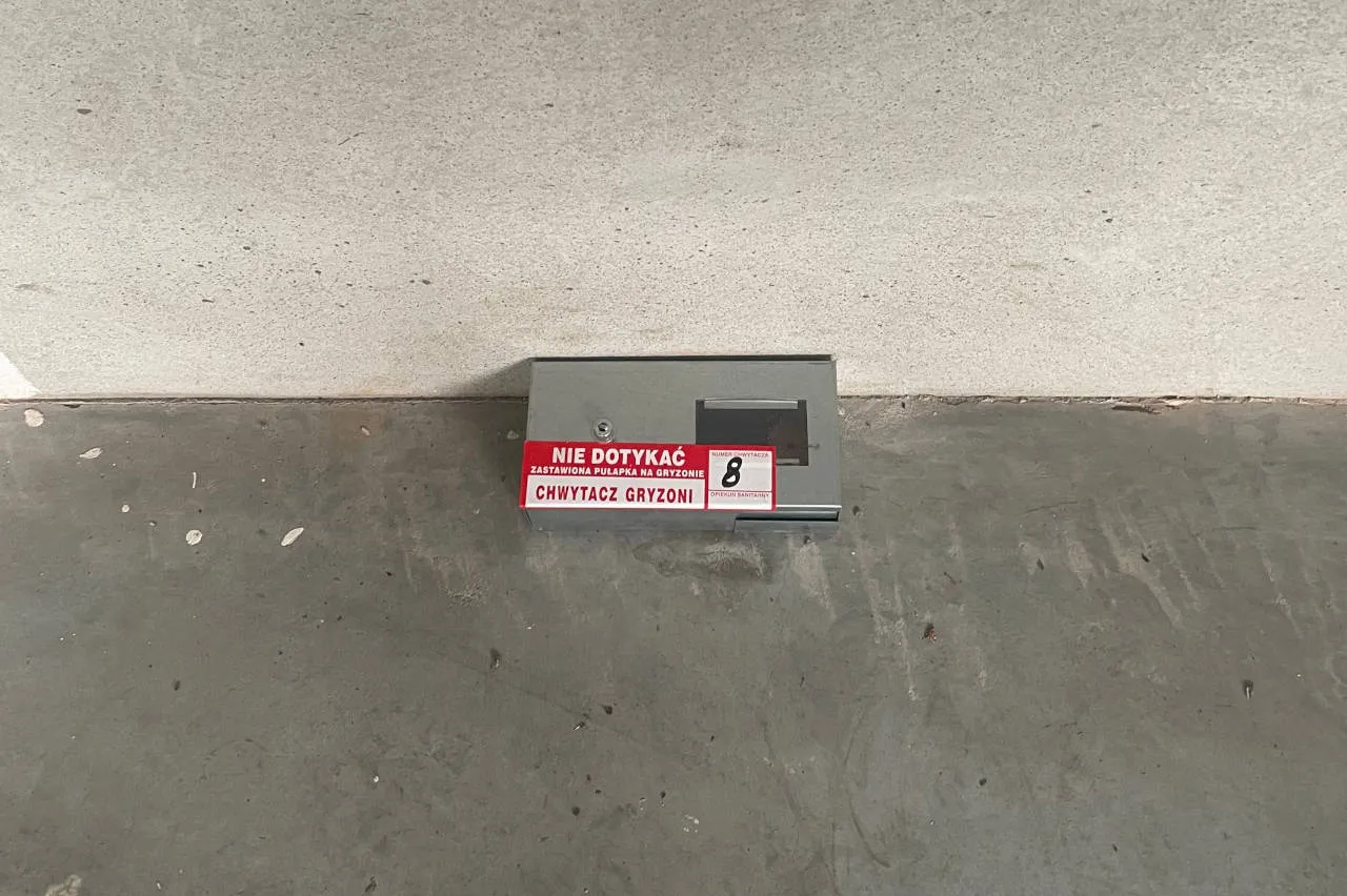 wz&oacute;r pisma do zarządcy nieruchomości deratyzacja