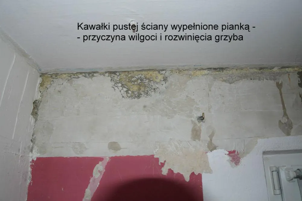 Przykłady problemów w spółdzielni mieszkaniowej (np. pęknięty mur, pleśń)