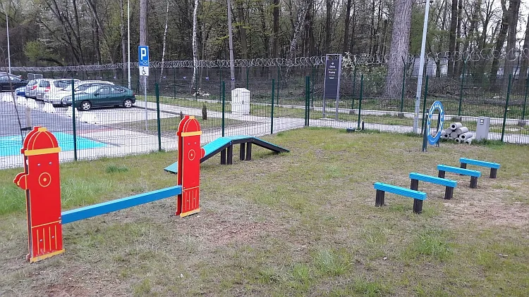 Psi wybieg Kraków agility