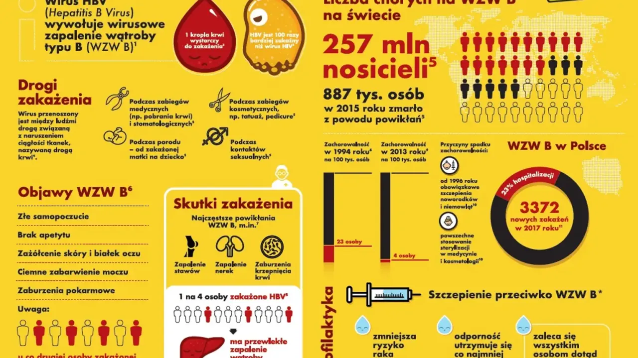 Infografika o wirusowym zapaleniu wątroby typu B (WZW B). Opisuje drogi zakażenia, objawy, skutki, statystyki zachorowań w Polsce i na świecie, a także profilaktykę.
