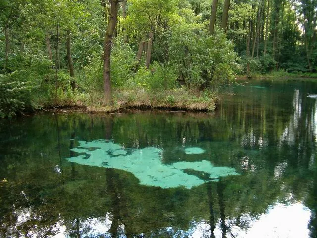 Niebieskie Źr&oacute;dła Tomasz&oacute;w Mazowiecki