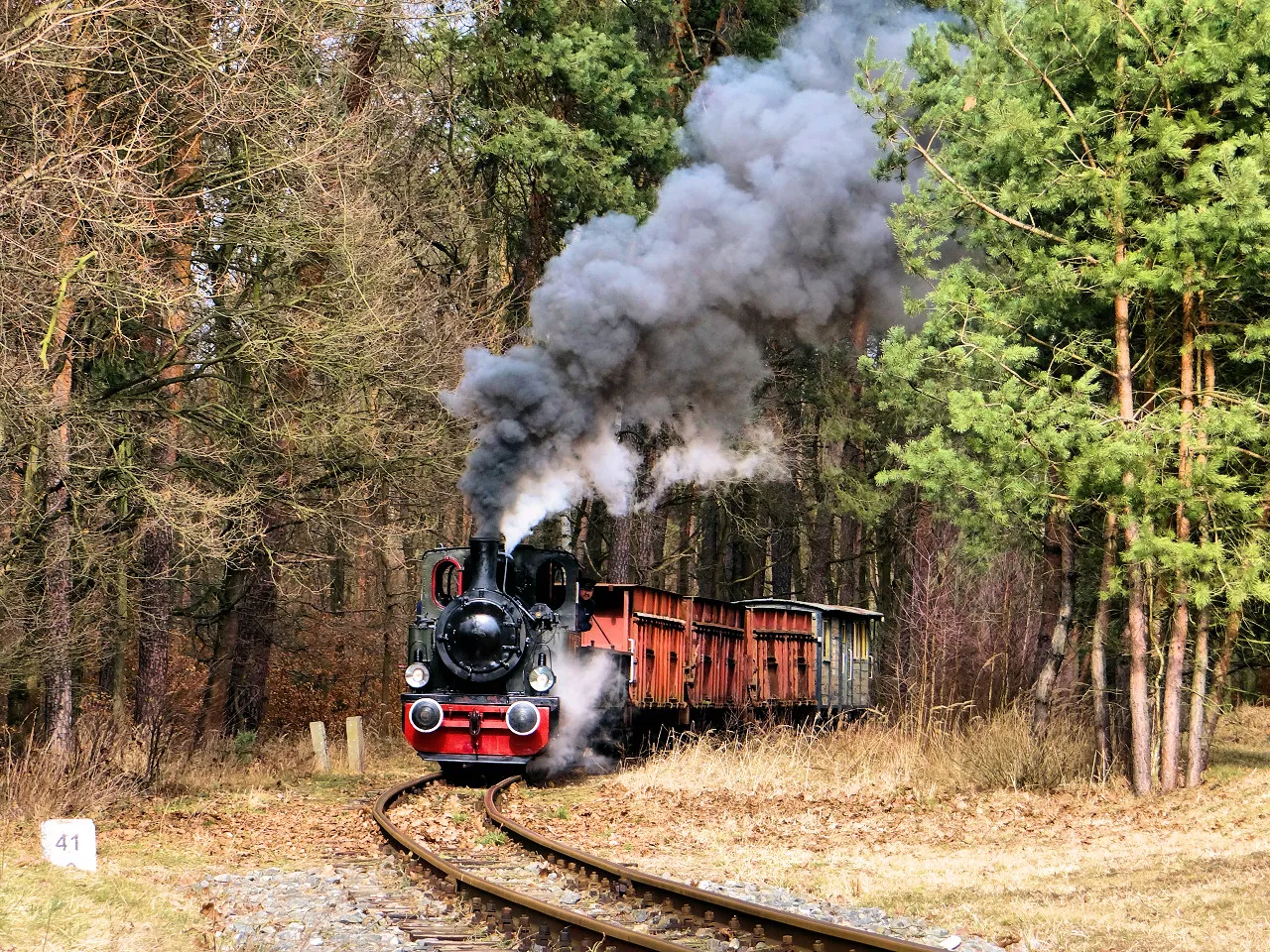 Parowóz Las 49 Rudy