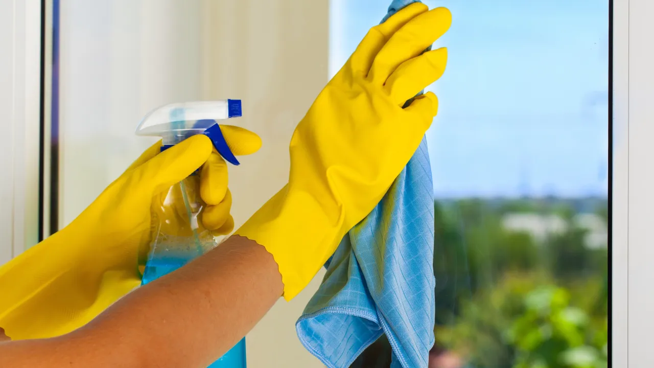 Vileda Windomatic Power vs Kärcher WV 6 porównanie