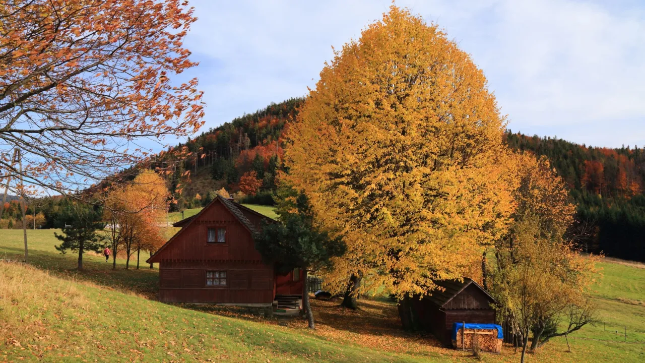 Malowniczy zajazd w lesie, Polska, jesień