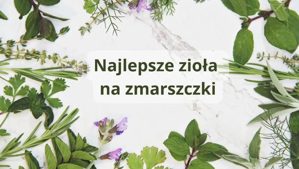 zioła do pielęgnacji cery rumianek nagietek skrzyp polny