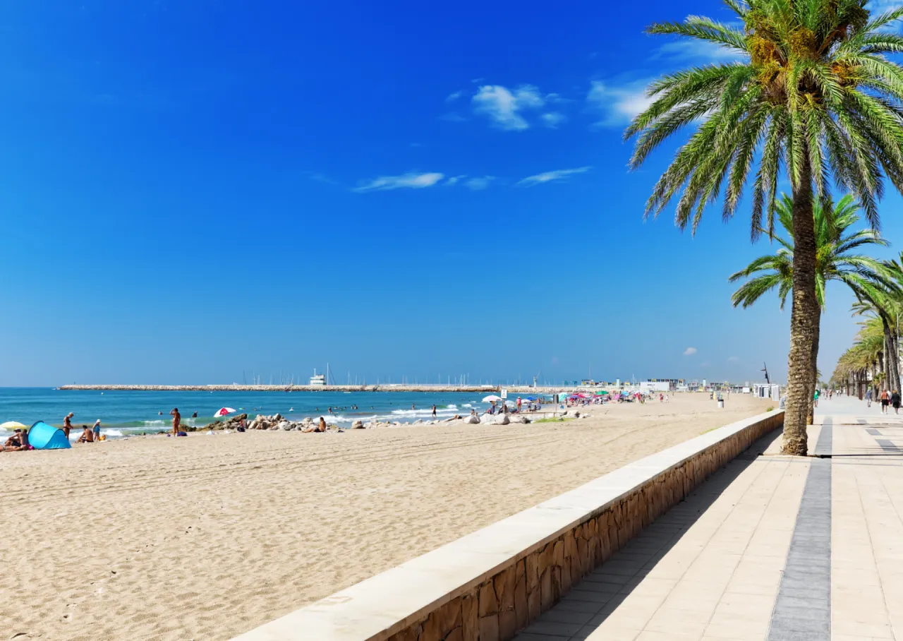 Słoneczna plaża z palmami, ludźmi odpoczywającymi na piasku i w morzu. Tak właśnie można zobaczyć w Hiszpanii.