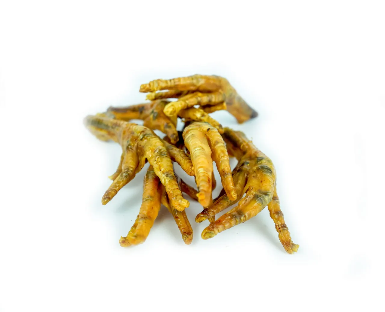 kurze łapki dla psa różne formy