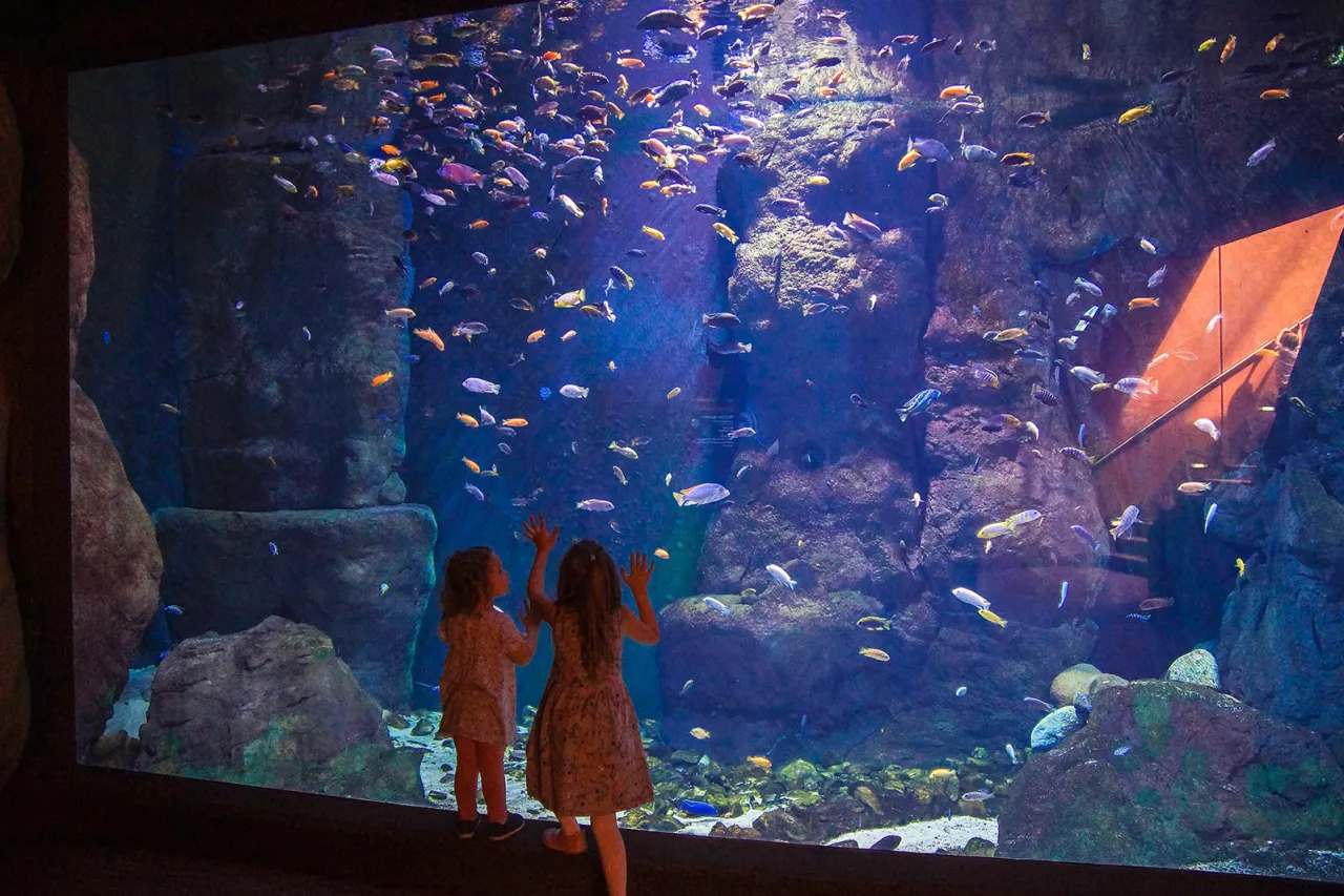 Wrocław Afrykarium ZOO z dziećmi