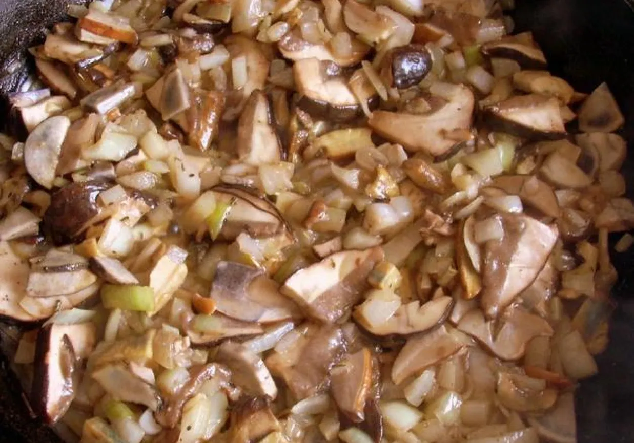 różne gatunki świeżych grzybów leśnych