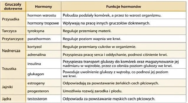 Tabela badań hormonalnych objawy