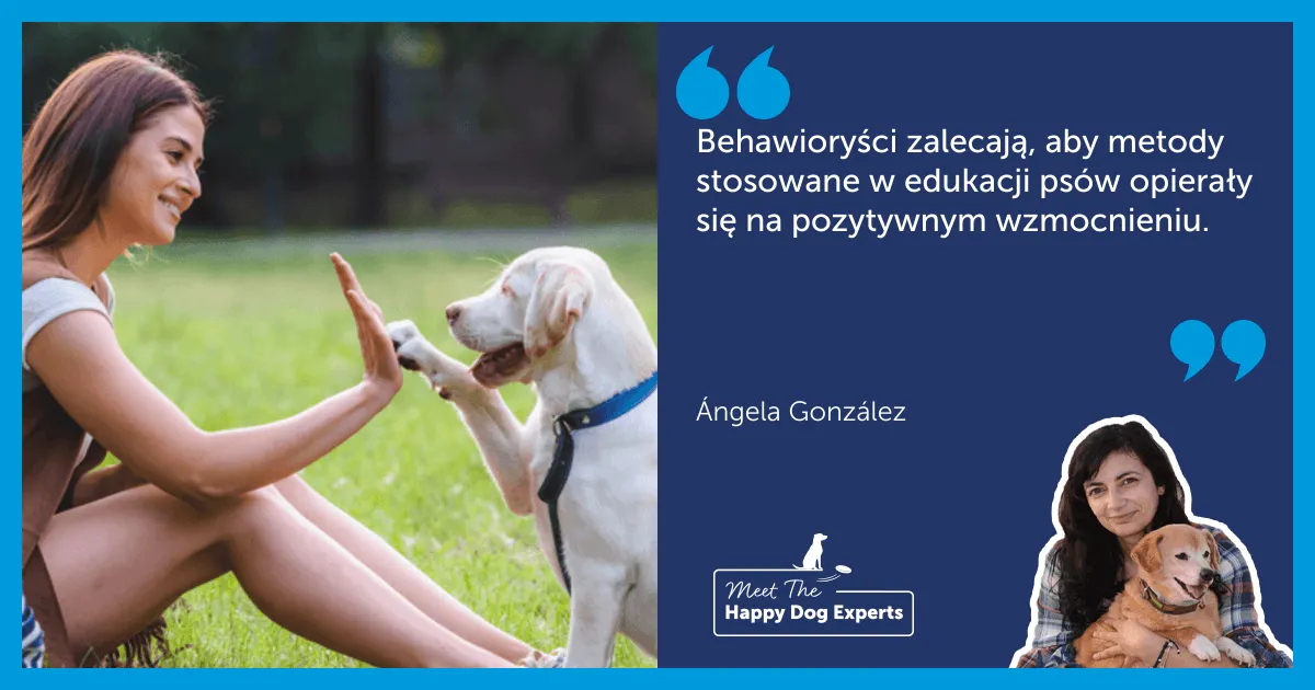 pozytywne wzmocnienie szkolenie szczeniaka