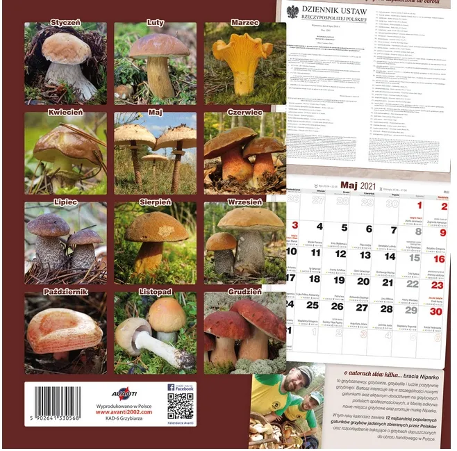 Kalendarz grzybiarza w Polsce