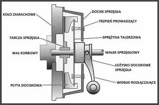 Schemat sprzęgła samochodowego budowa