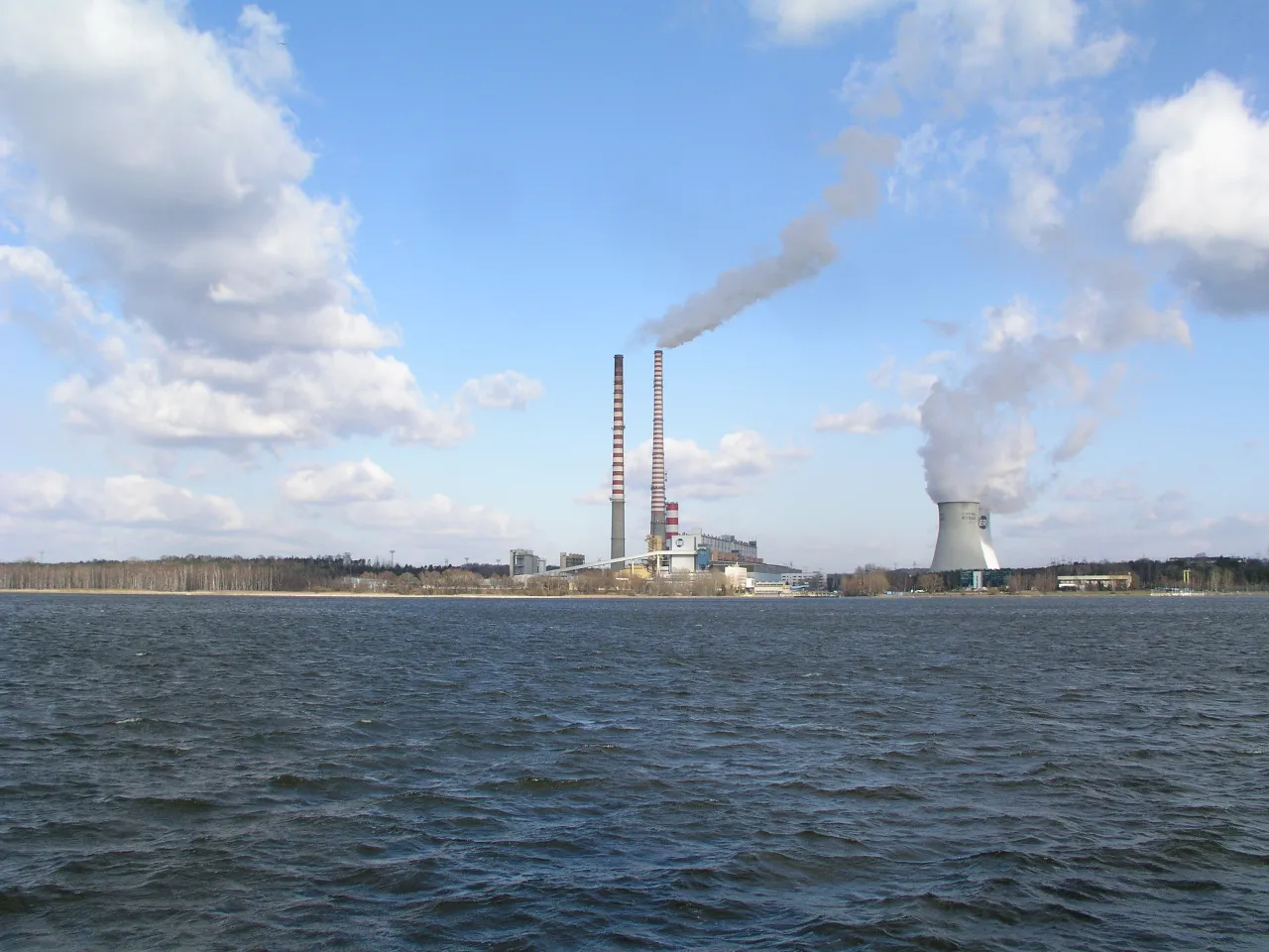 Ptaki wodne Zbiornik Rybnicki zima