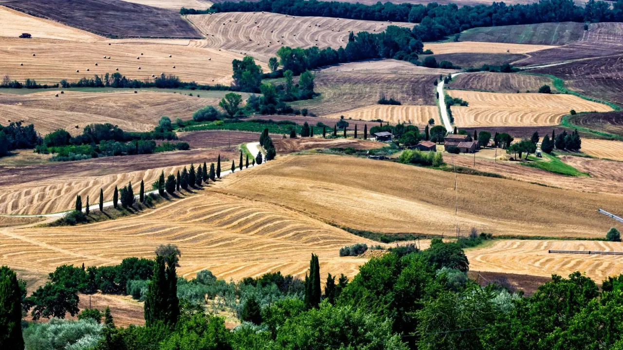 Krajobraz Toskanii, idealny na wycieczkę: falujące pola, cyprysy i urokliwe domy. To miejsce, gdzie warto zwiedzić każdy zakątek.