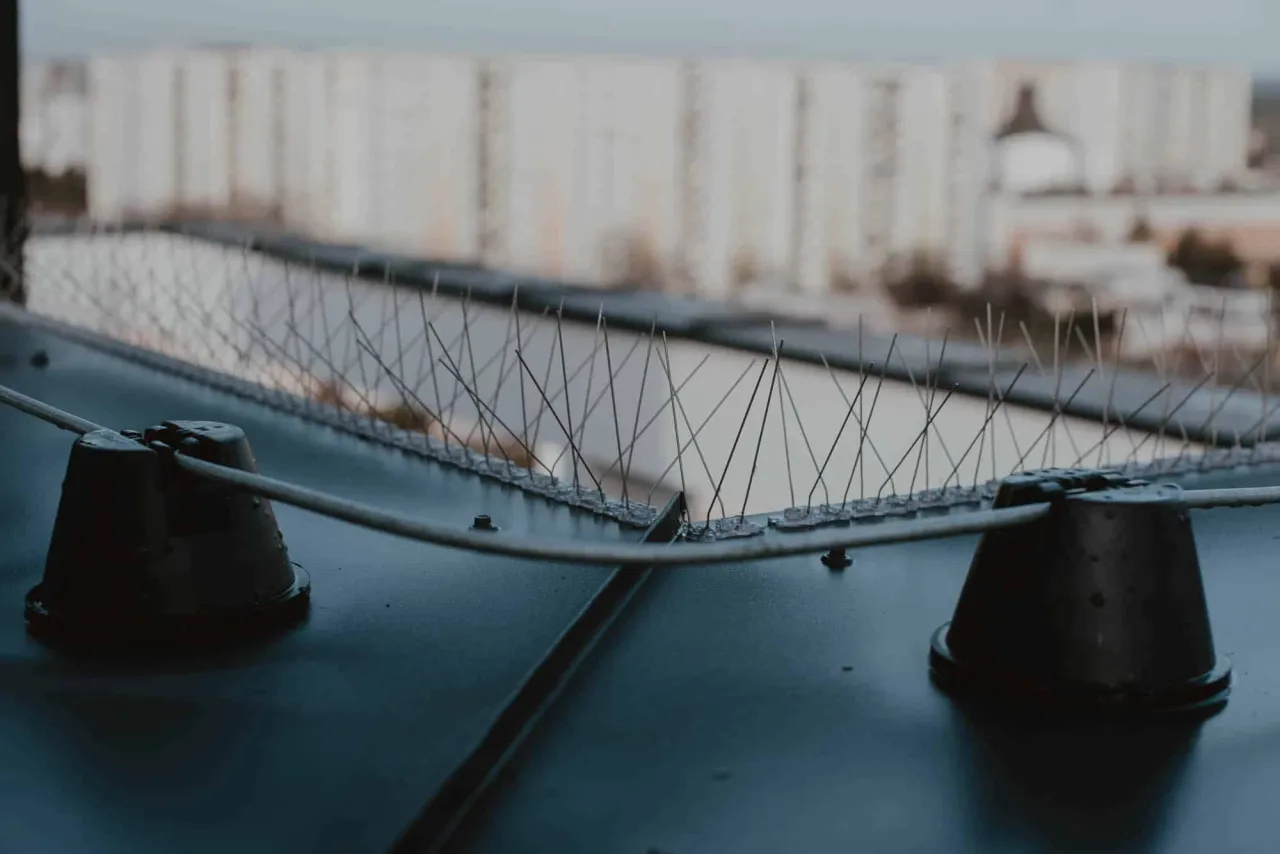 Sposoby zabezpieczania okien przed ptakami