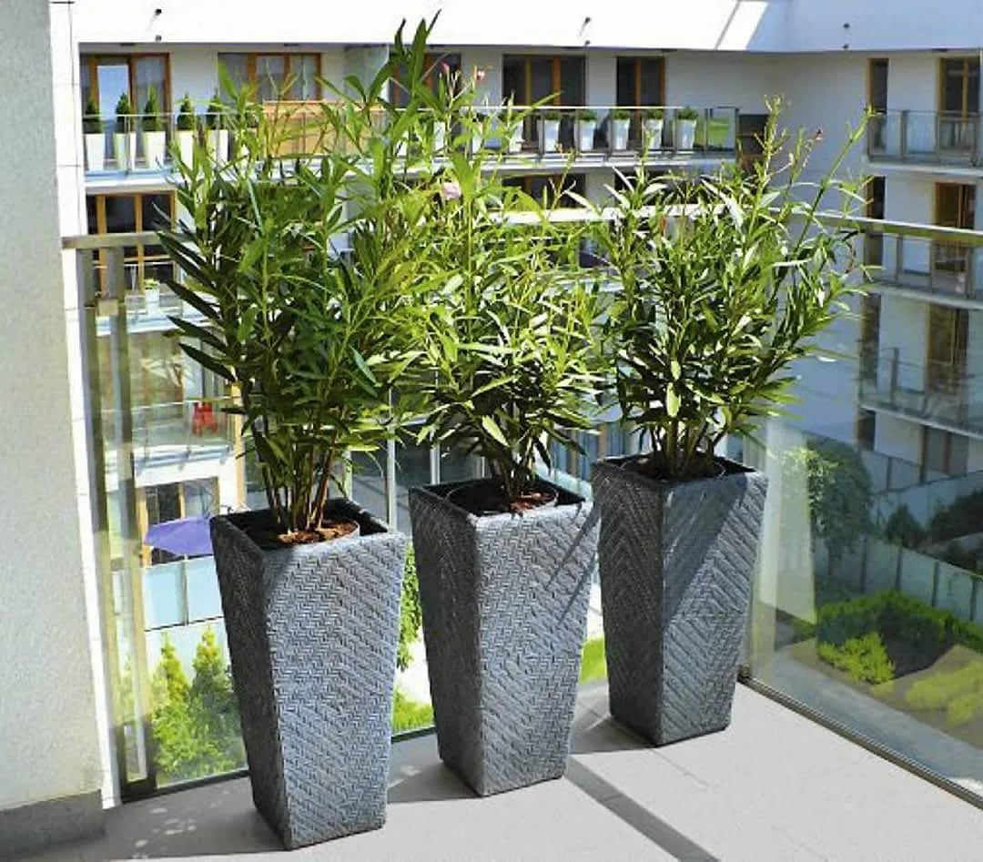 planowanie tarasu rośliny donice