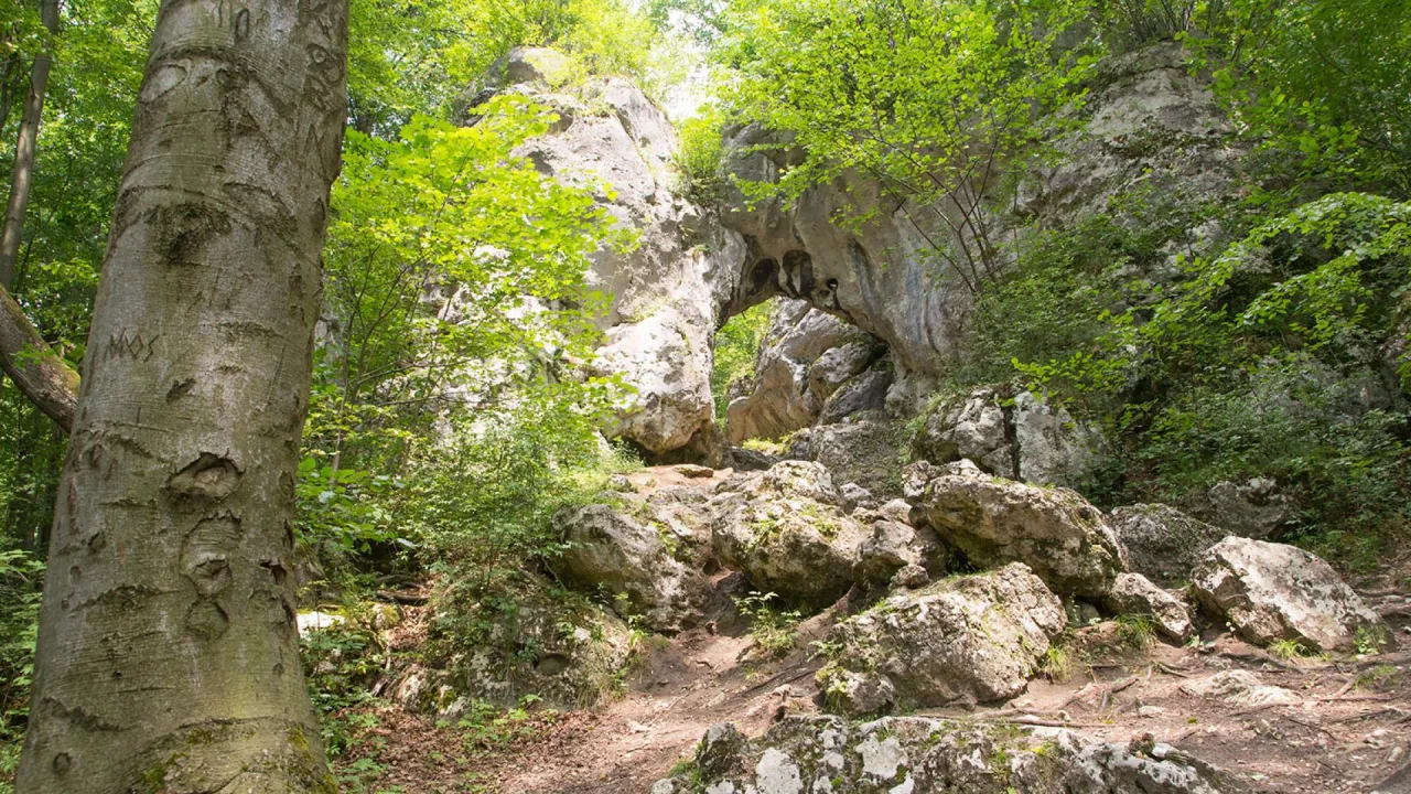 Rezerwat Parkowe Złoty Potok, Brama Twardowskiego