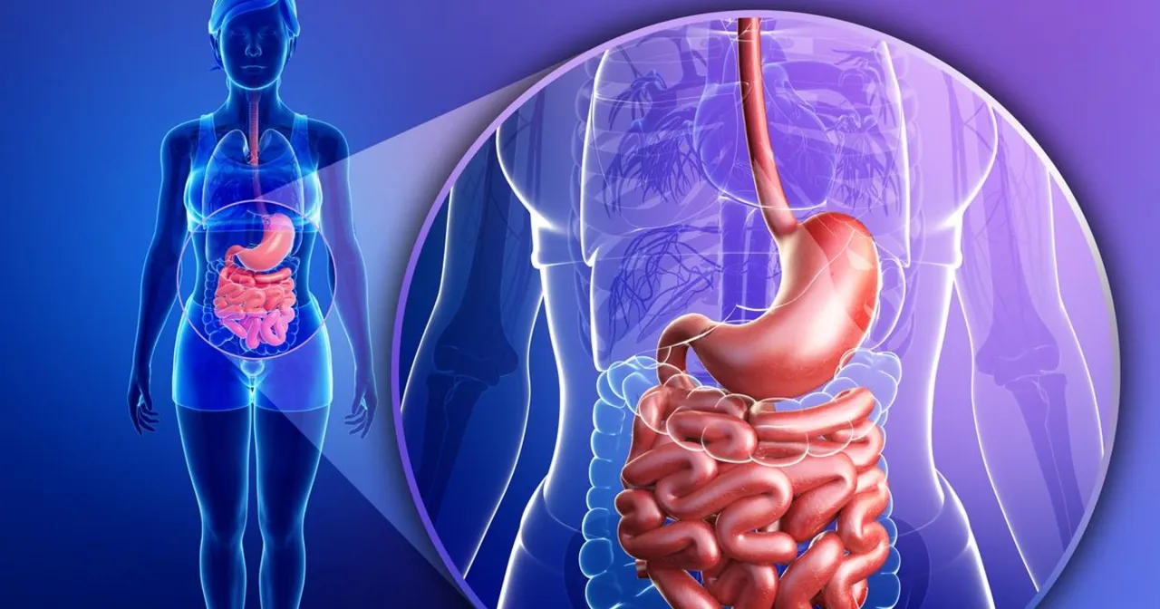 Układ trawienny i mięśnie konflikt krwi