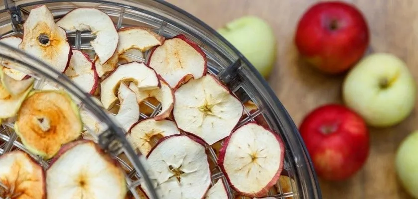 suszarka do owoców z jabłkami