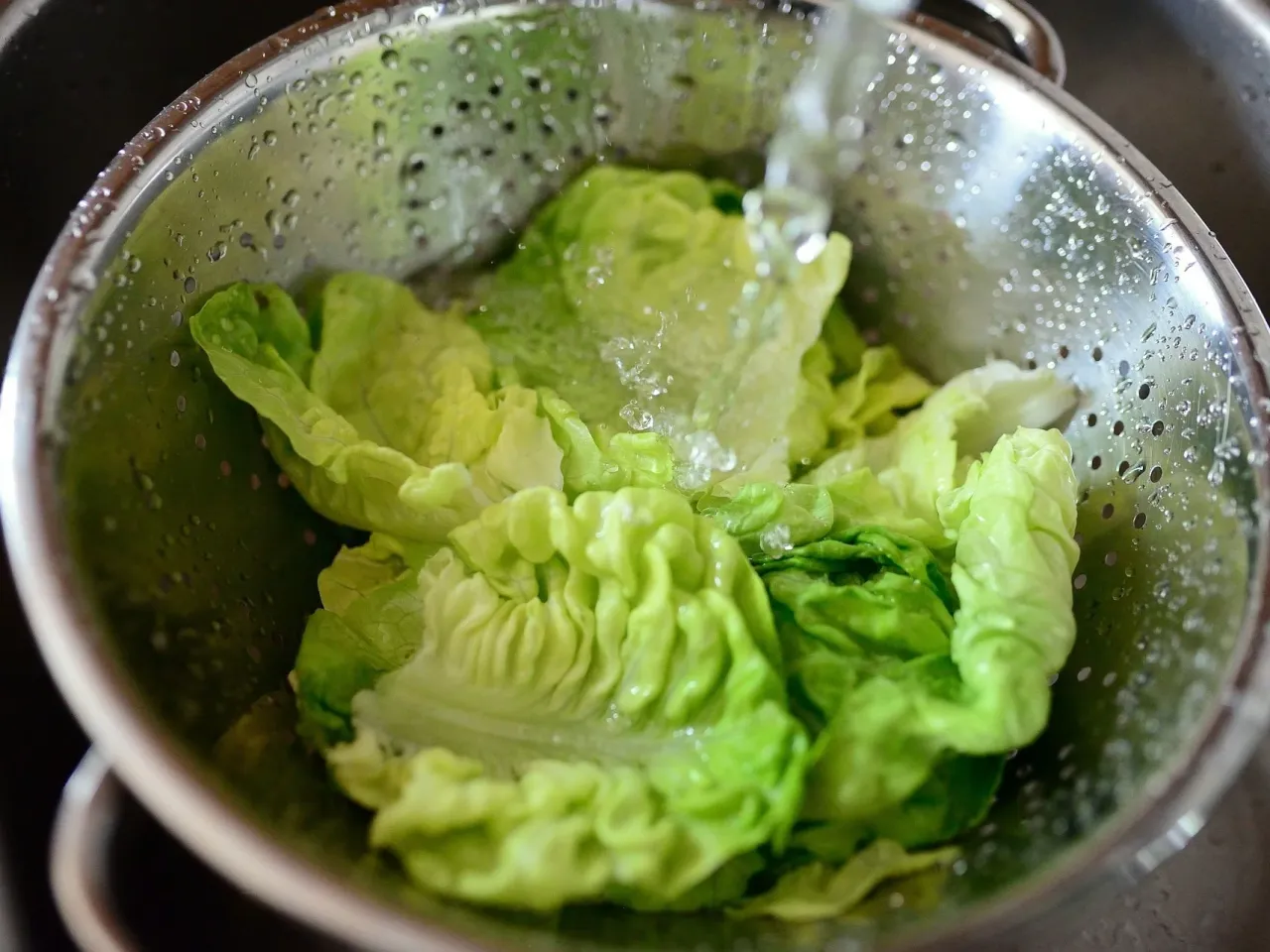 dłonie myjące liście sałaty pod bieżącą wodą
