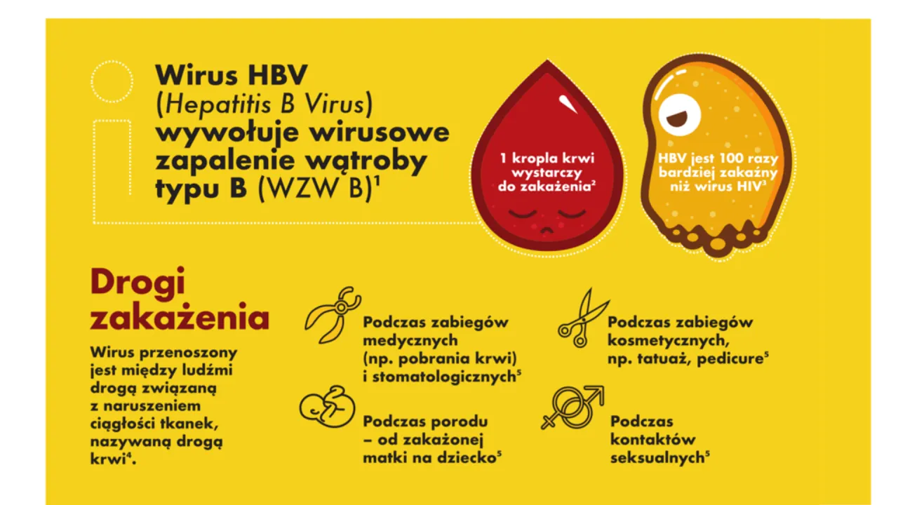 Wirus HBV wywołuje wirusowe zapalenie wątroby typu B. Zakażenie może nastąpić podczas zabiegów medycznych, kosmetycznych, porodu lub kontaktów seksualnych.