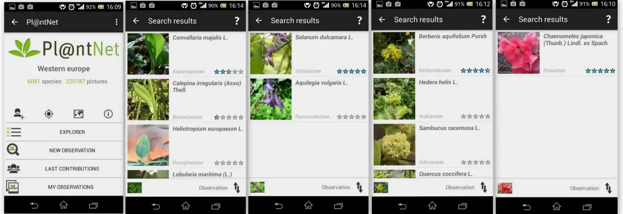 Aplikacje do rozpoznawania roślin porównanie