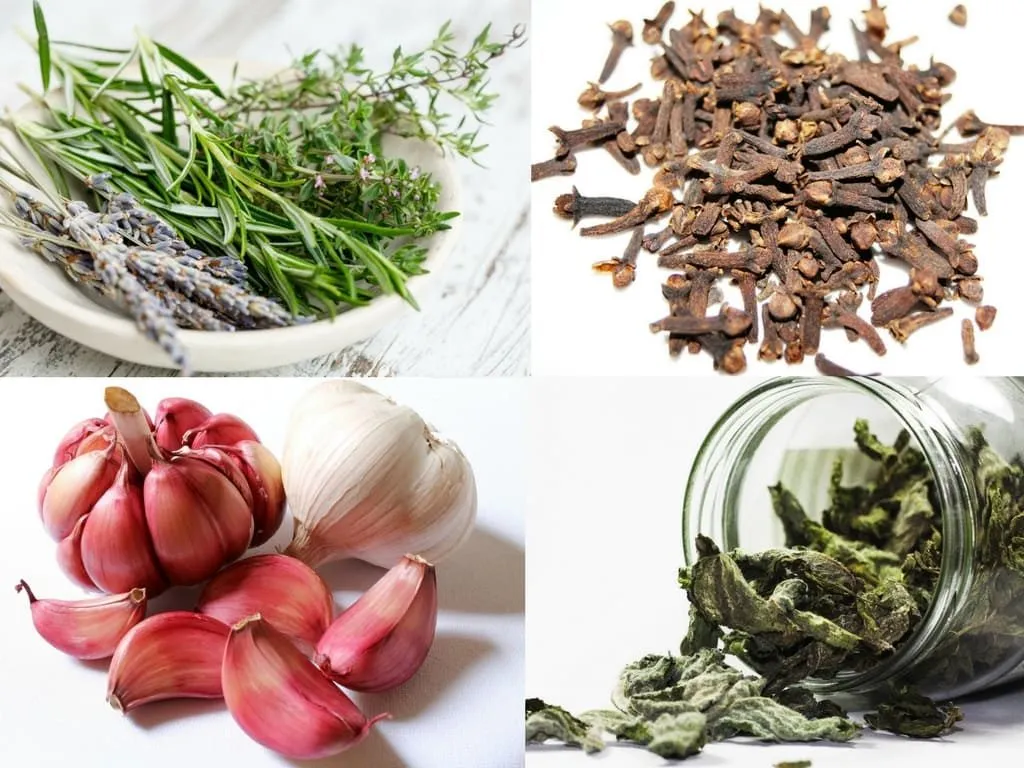 Domowe sposoby na ból zęba: goździki, szałwia, zimny okład