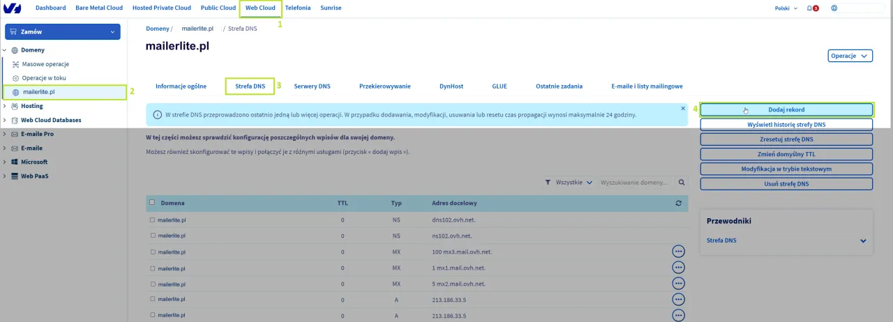 Konfiguracja DNS w panelu OVHcloud