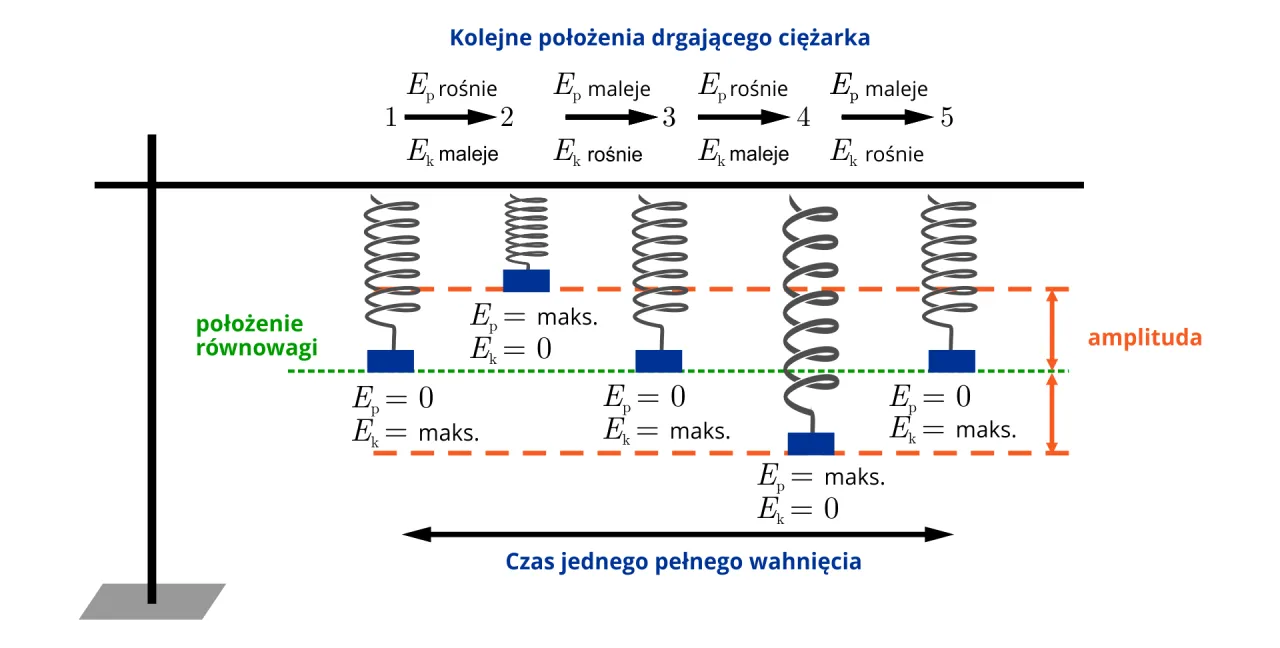 Ilustracja pokazuje zasadę zachowania energii mechanicznej zadania z kulką na sprężynie, gdzie energia potencjalna i kinetyczna zamieniają się miejscami.