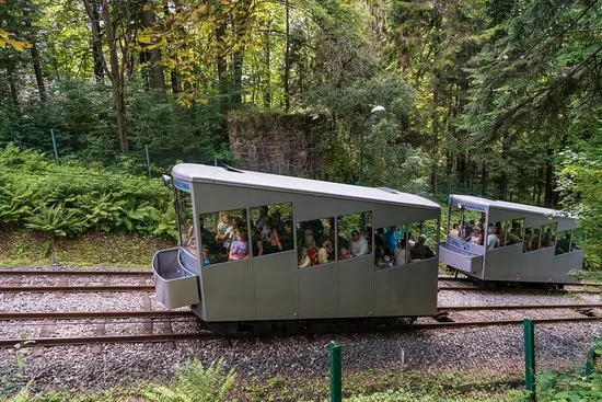 Kolejka linowo-terenowa G&oacute;ra Parkowa Krynica