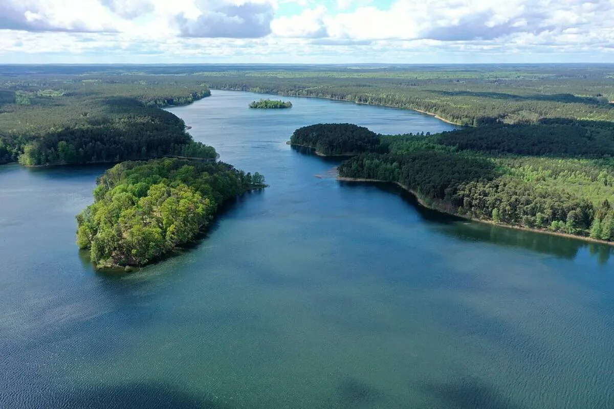 Park Narodowy Bory Tucholskie jeziora lobeliowe