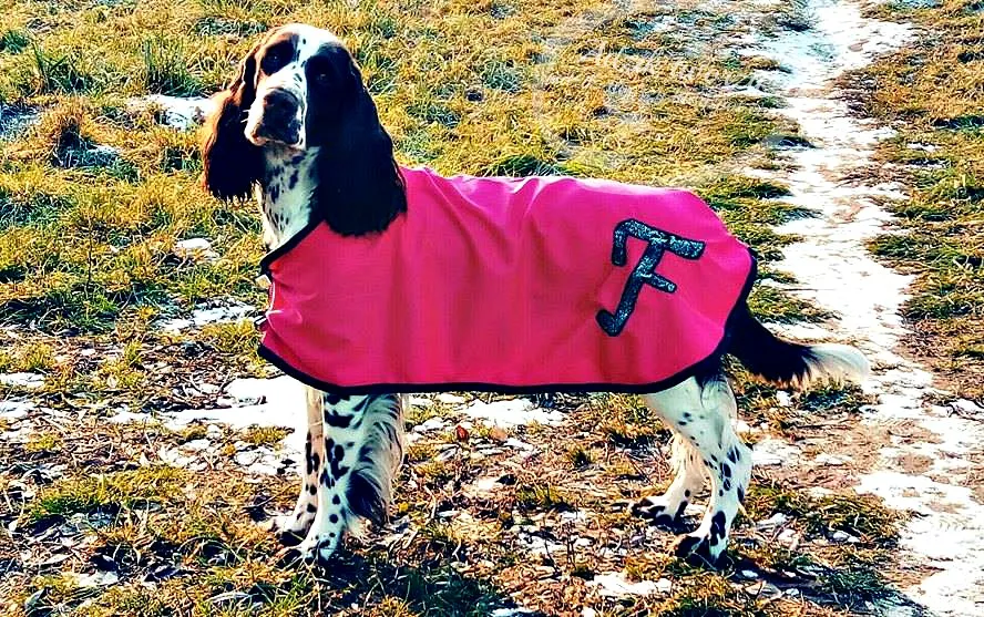 personalizacja ubranka dla psa, ozdoby na ubranko dla psa DIY