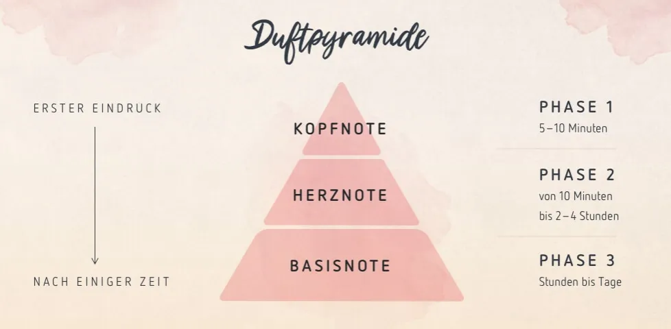 Duftpyramide Parfum
