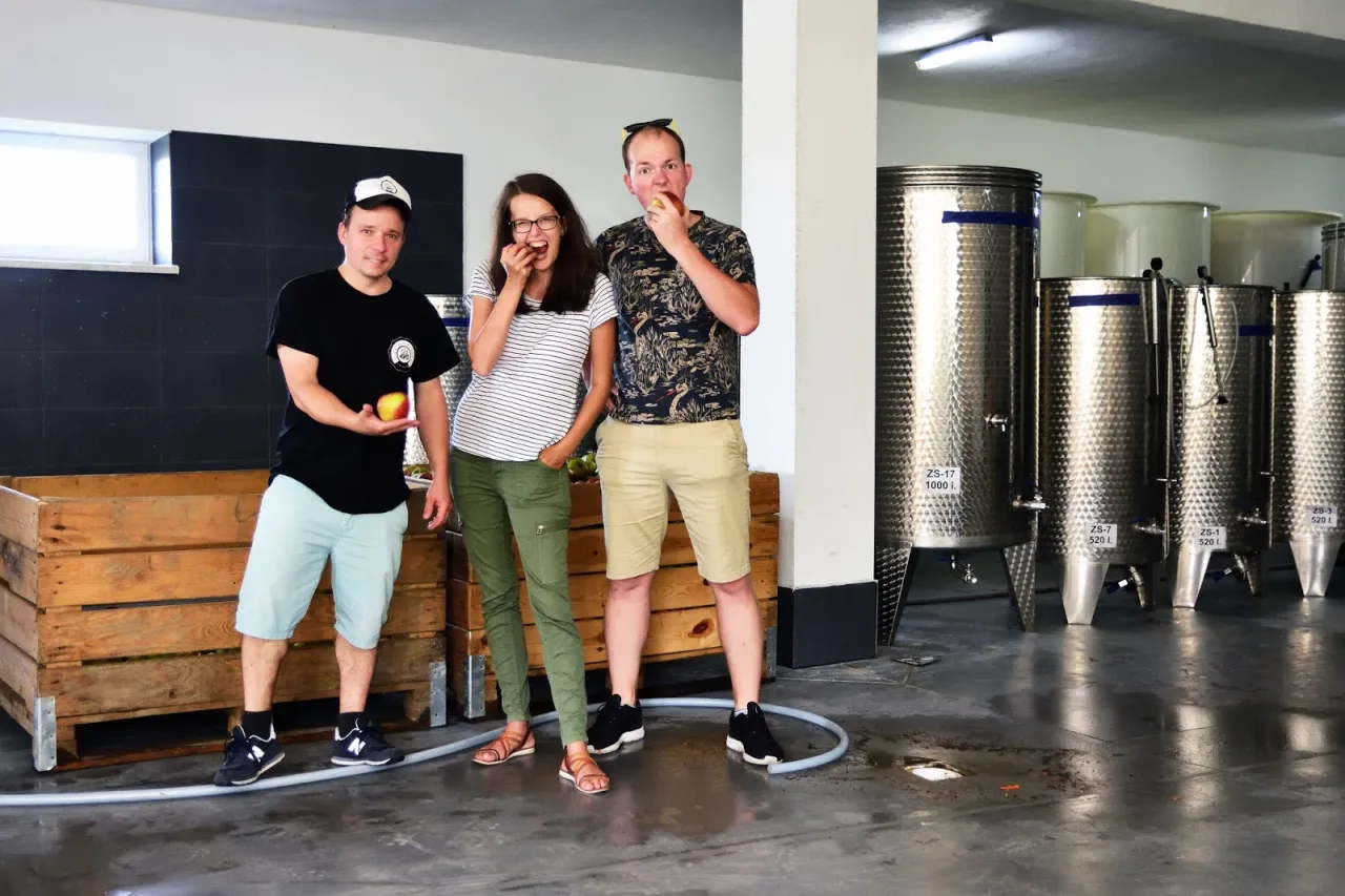 Produkcja cydru krok po kroku