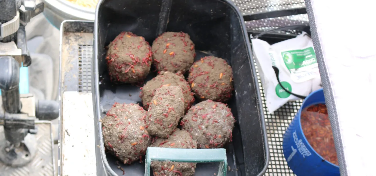 Składniki zanęty na okonia: posiekane robaki, ochotka, glina wędkarska