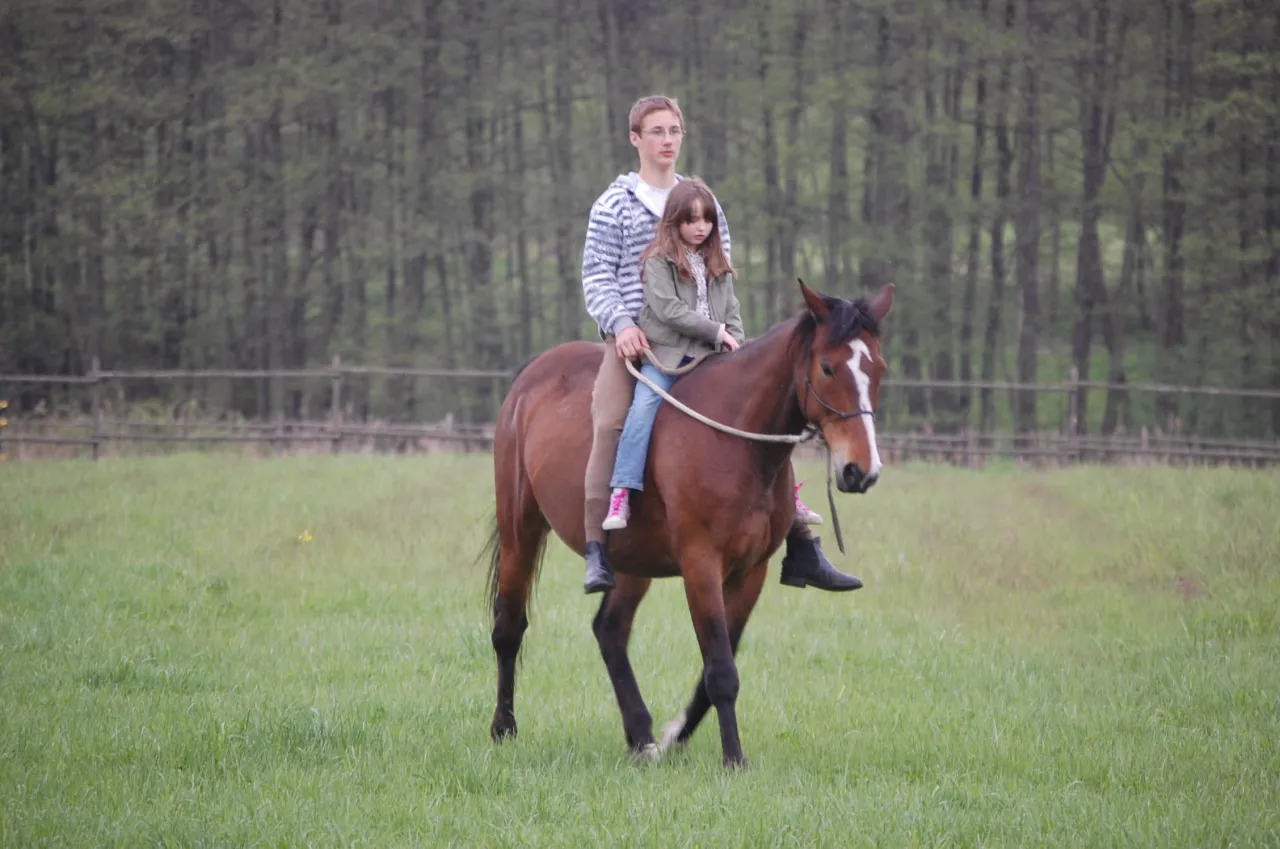 jazda konna dla dzieci i dorosłych