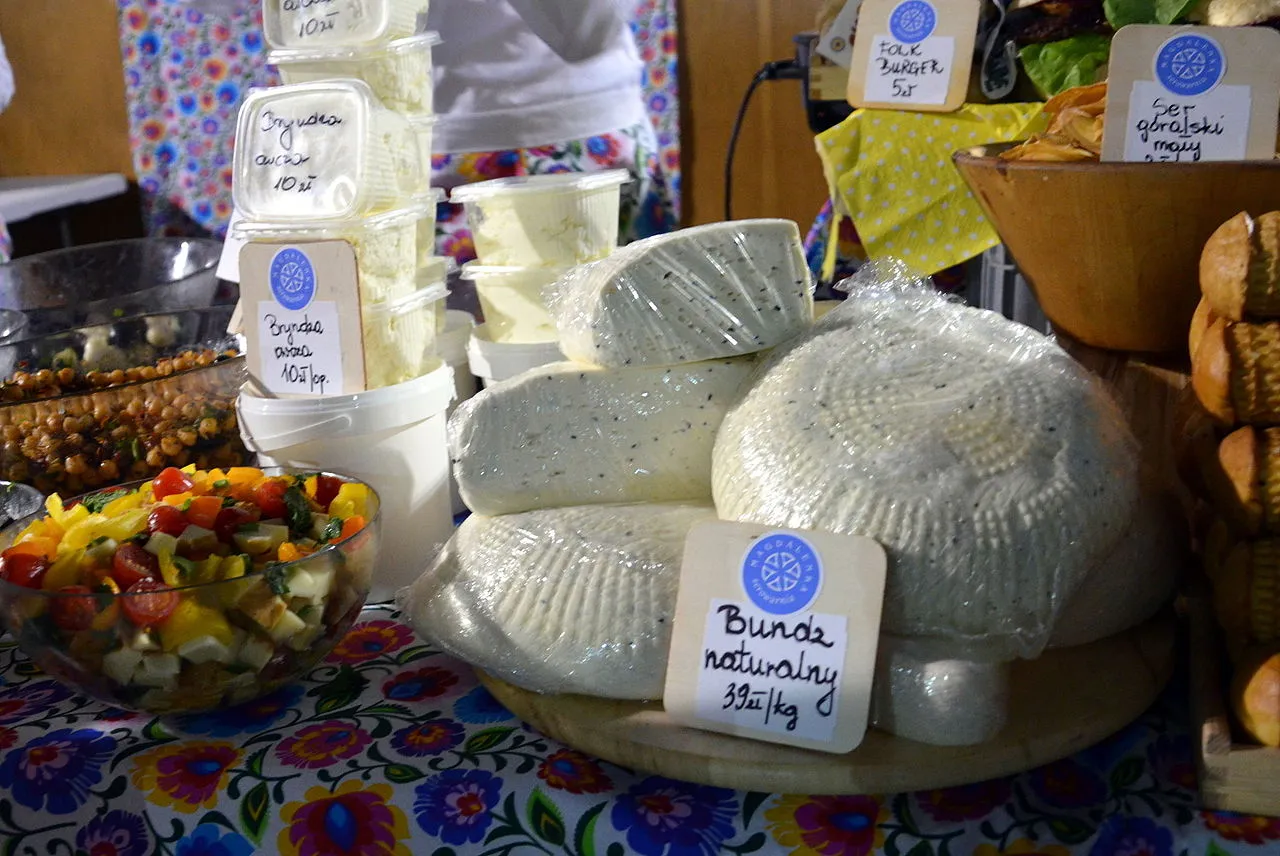 proces produkcji bryndzy i bundzu schemat