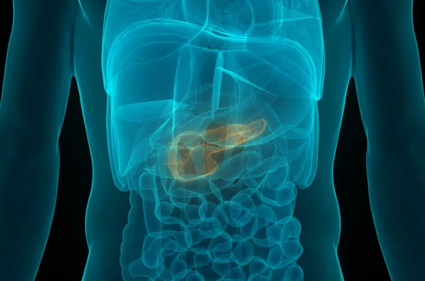 Wpływ lek&oacute;w i alkoholu na organy wewnętrzne