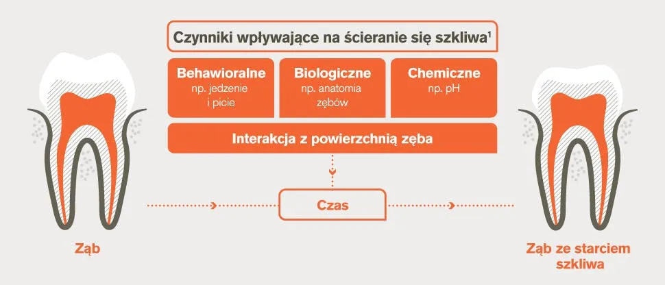 przyczyny ścierania zębów infografika
