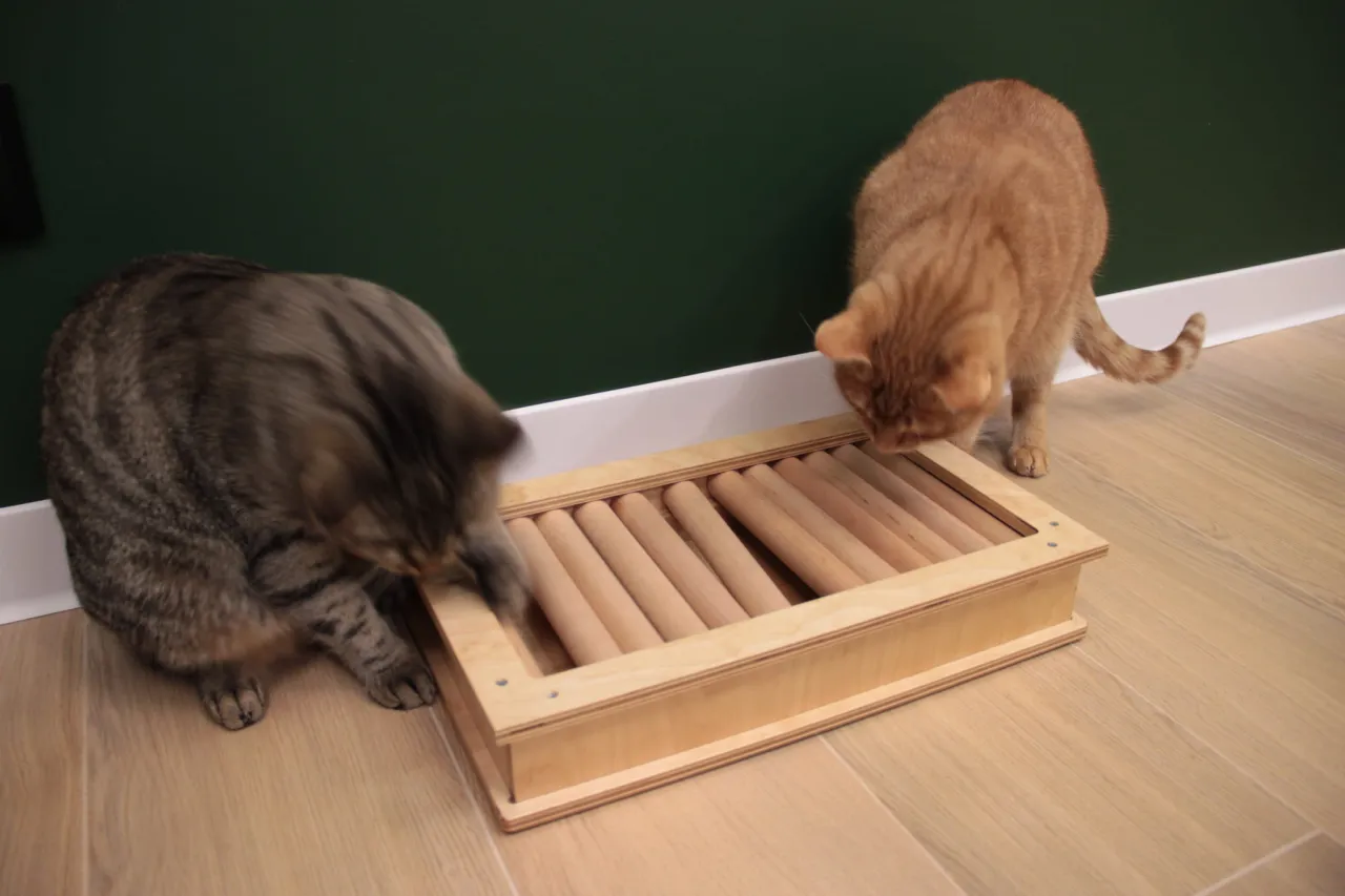 Interaktywne pudełko dla kota DIY