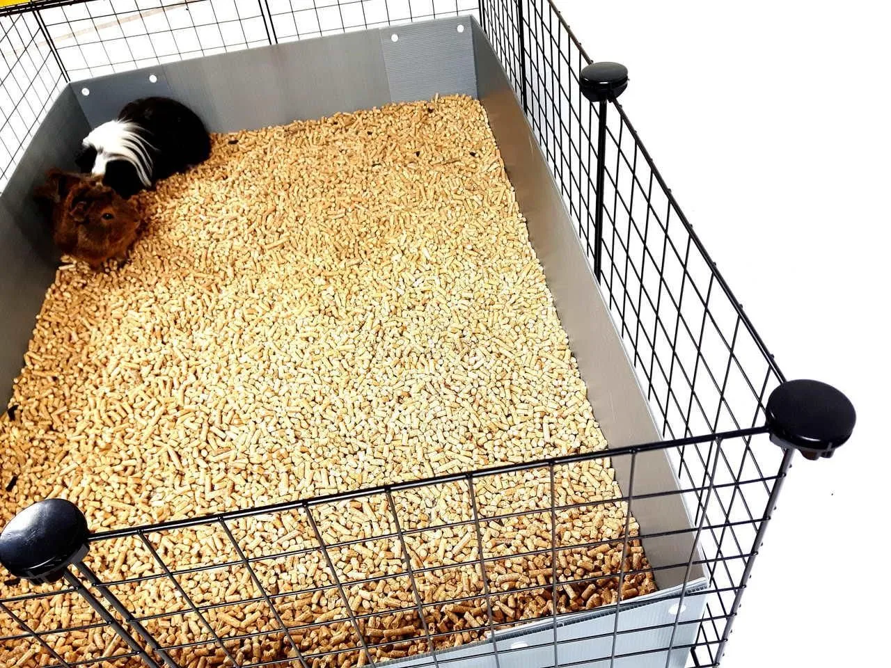 materiały do klatki C&C dla świnki morskiej