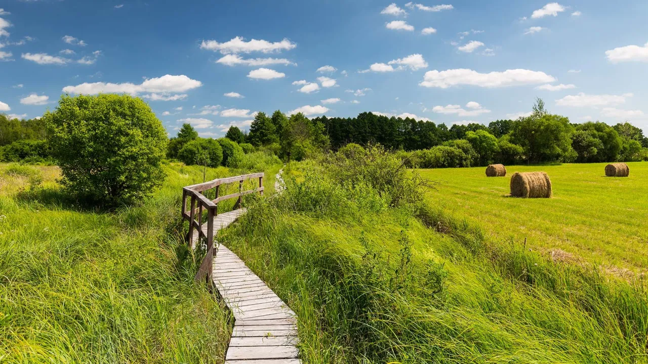 Poleski Park Narodowy krajobrazy