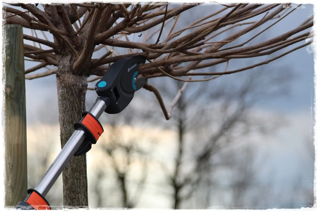 narzędzia do przycinania leszczyny