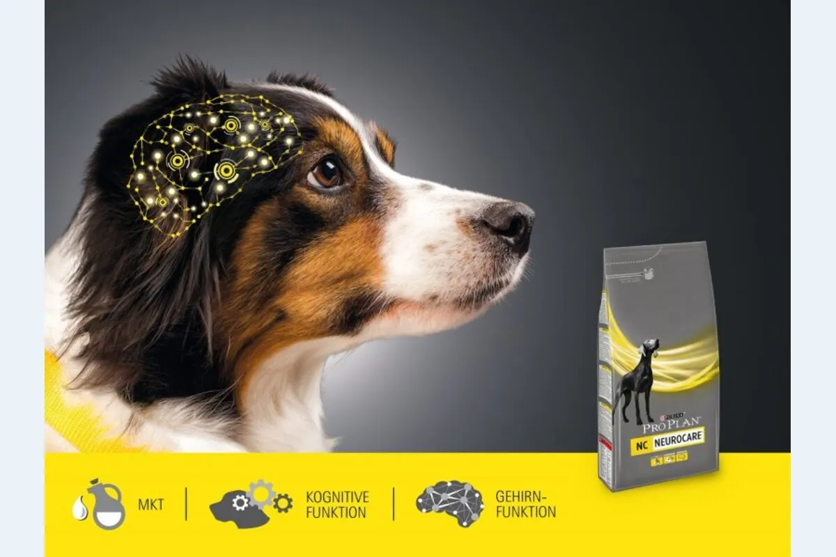 Hund mit speziellem Futter f&uuml;r Epilepsie