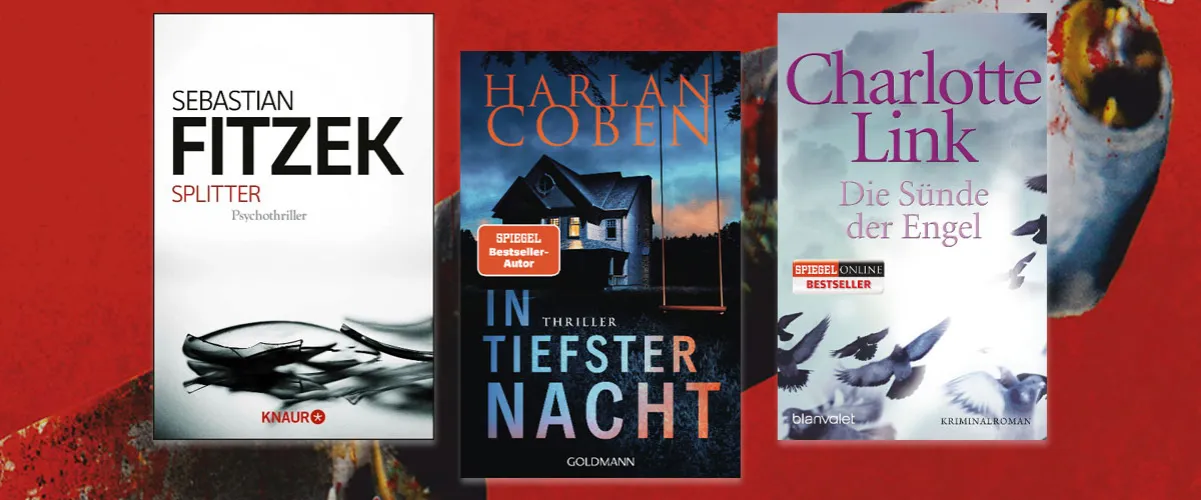 B&uuml;cherstapel Thriller Krimi Bestseller 2025