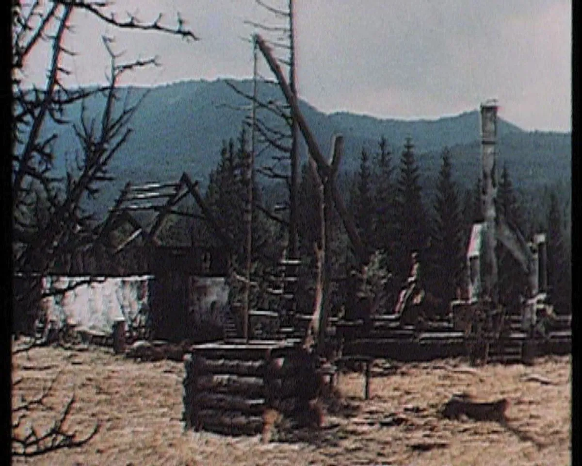 Film Wilcze echa Derenica scenografia